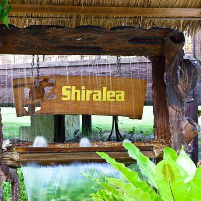 www.shiralea.com