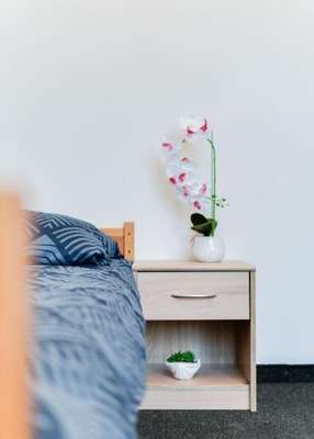 www.hostelopoleglowne.pl