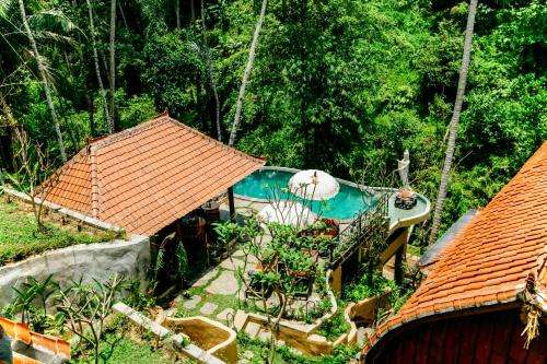 www.junglelotusvillas.com
