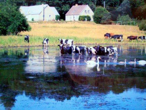www.engelsholm-bedandbreakfast.dk