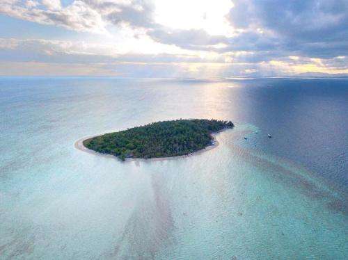 www.modessaislandresort.com