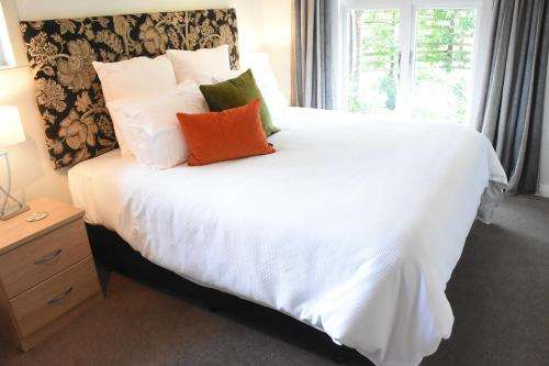 www.shycottage.co.nz