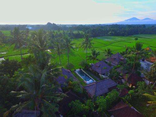 www.lodtunduhsari.com