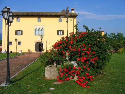 www.domusmagna1467.it