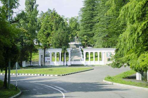 www.sanatoriumi.ge