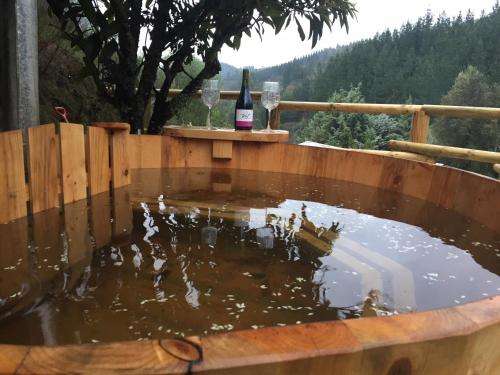 www.vinostresc.cl