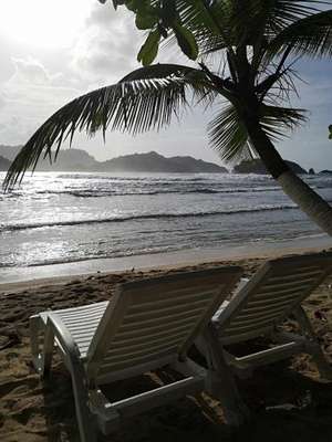 www.panama-reefdivers.com