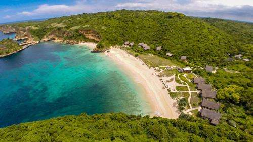 www.jeevaresorts.com