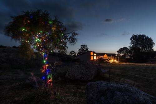 www.astelialodge.co.nz