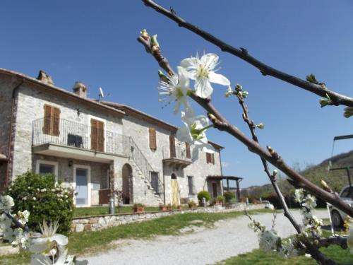 www.agriturismolaconserva.it