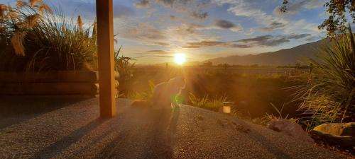 www.brookhouse.co.nz