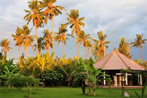www.bali-oase-resort.de