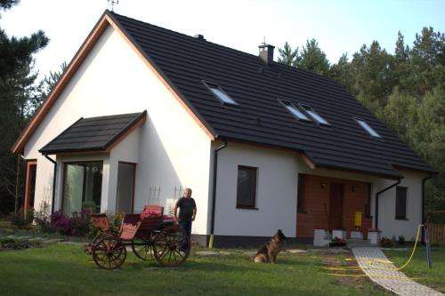 www.kocigrzbiet.pl
