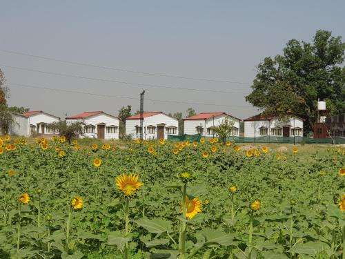 www.livinggreenfarms.org