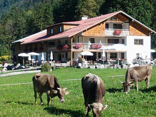 www.gasthof-riefenkopf.de