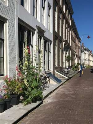 www.decarper.nl