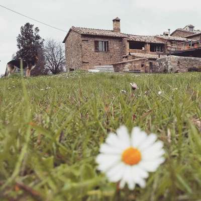 www.ilcocco.it