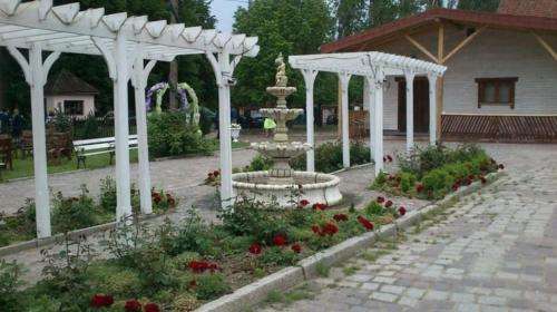 www.witryna.info