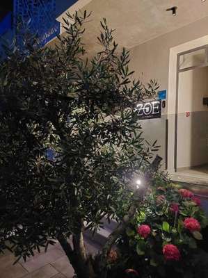 www.zoeapartments.gr