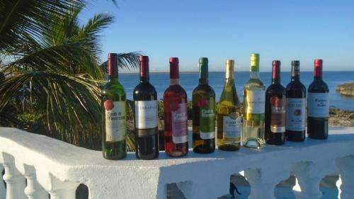 www.la-isla-villa.com