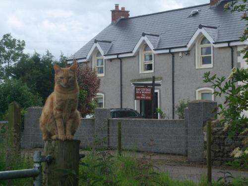 www.baycottageireland.com