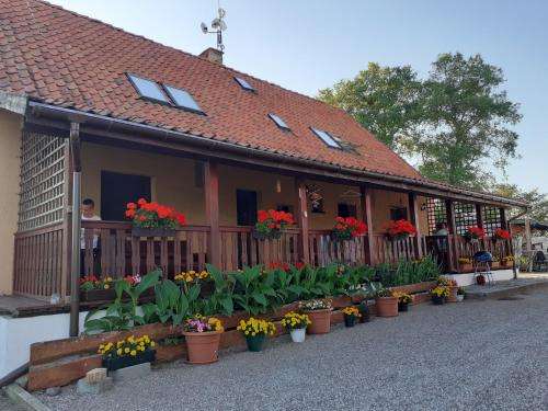 www.agroturystykauzawiszy.pl