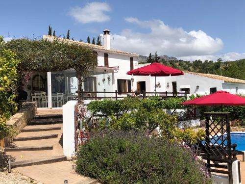 www.finca-amorosa.es