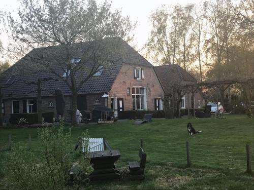 www.degrotebelt.nl