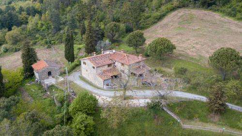 www.fattoriadicintoia.it