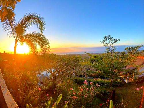 www.theeyesbali.com