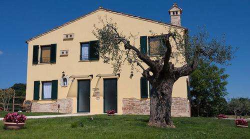 www.latanadelcinghiale.it