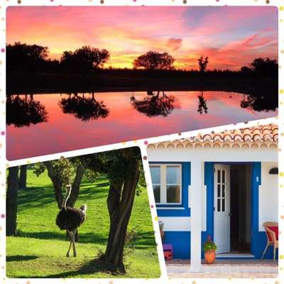 www.montedolago.pt