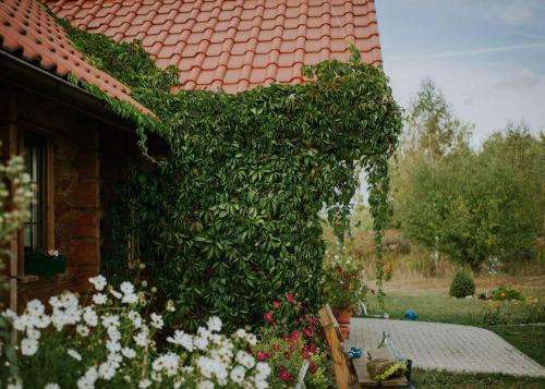www.sowiastopka.mazury.pl