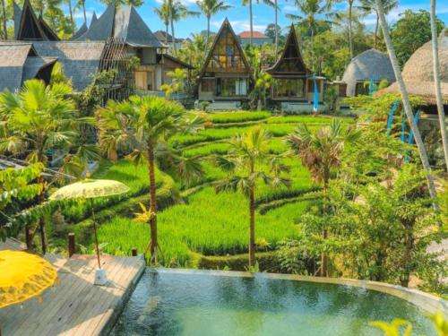 www.menzelubud.com