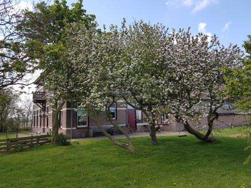 www.hunsingotexel.nl