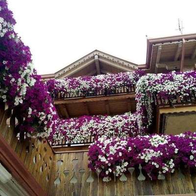 www.coryletum.it