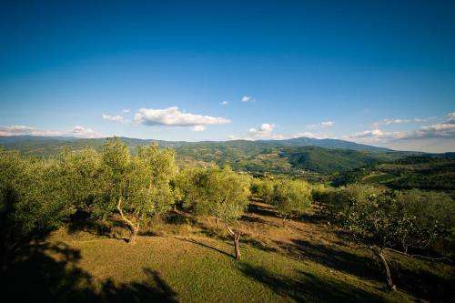 www.poderebelvederetuscany.it