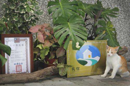 www.myorganic.org.tw