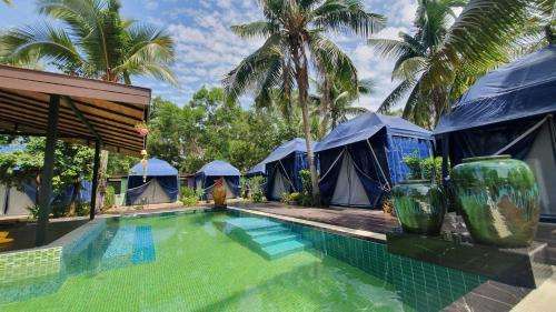 www.moonshineresort.com