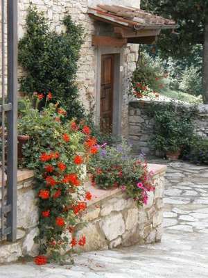 www.verrazzano.com