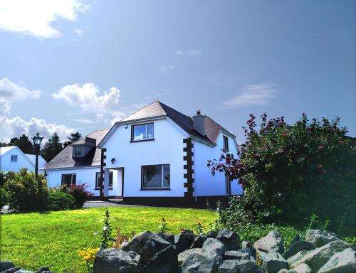www.madra-rua.ie