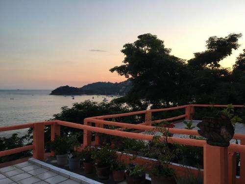 www.zihuatanejo.net