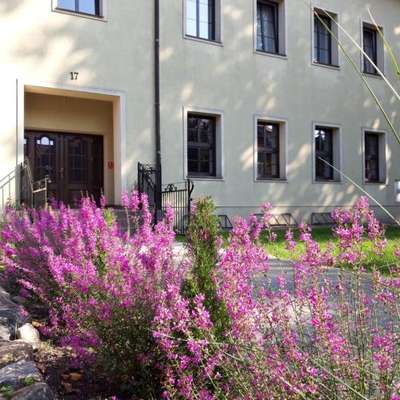 www.willamoryn.pl