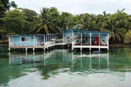 www.calipsobocas.com