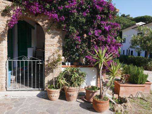 www.residenceaugusto.it