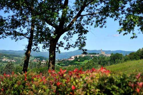 www.agriturismolapietraia.com