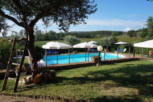 www.agriturismoconsalvi.com
