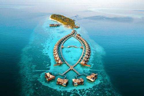 www.lilybeachmaldives.com