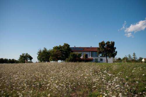 www.cascinabellaria.com