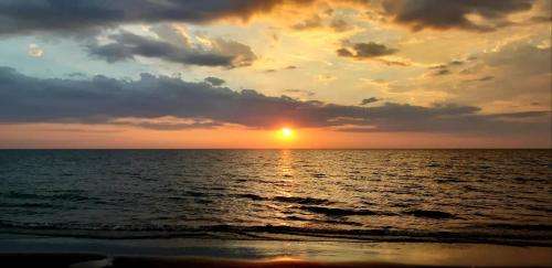 www.bellasbeachresort.ph